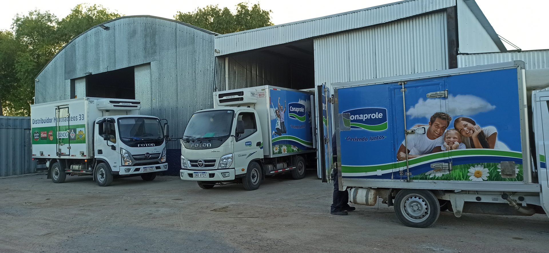 Flota de camiones refrigerados Multilácteos 33